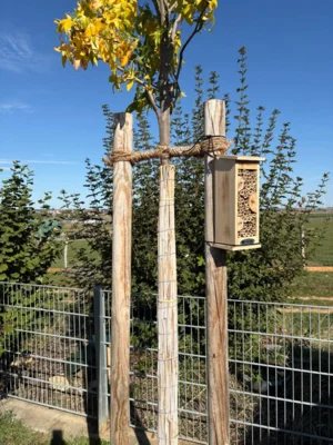 Foto des Albums: Zukunftsgarten_Nistkaesten