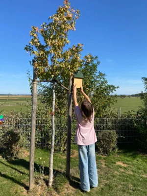 Foto des Albums: Zukunftsgarten_Nistkaesten
