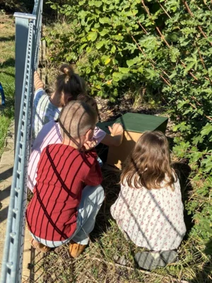 Foto des Albums: Zukunftsgarten_Nistkaesten