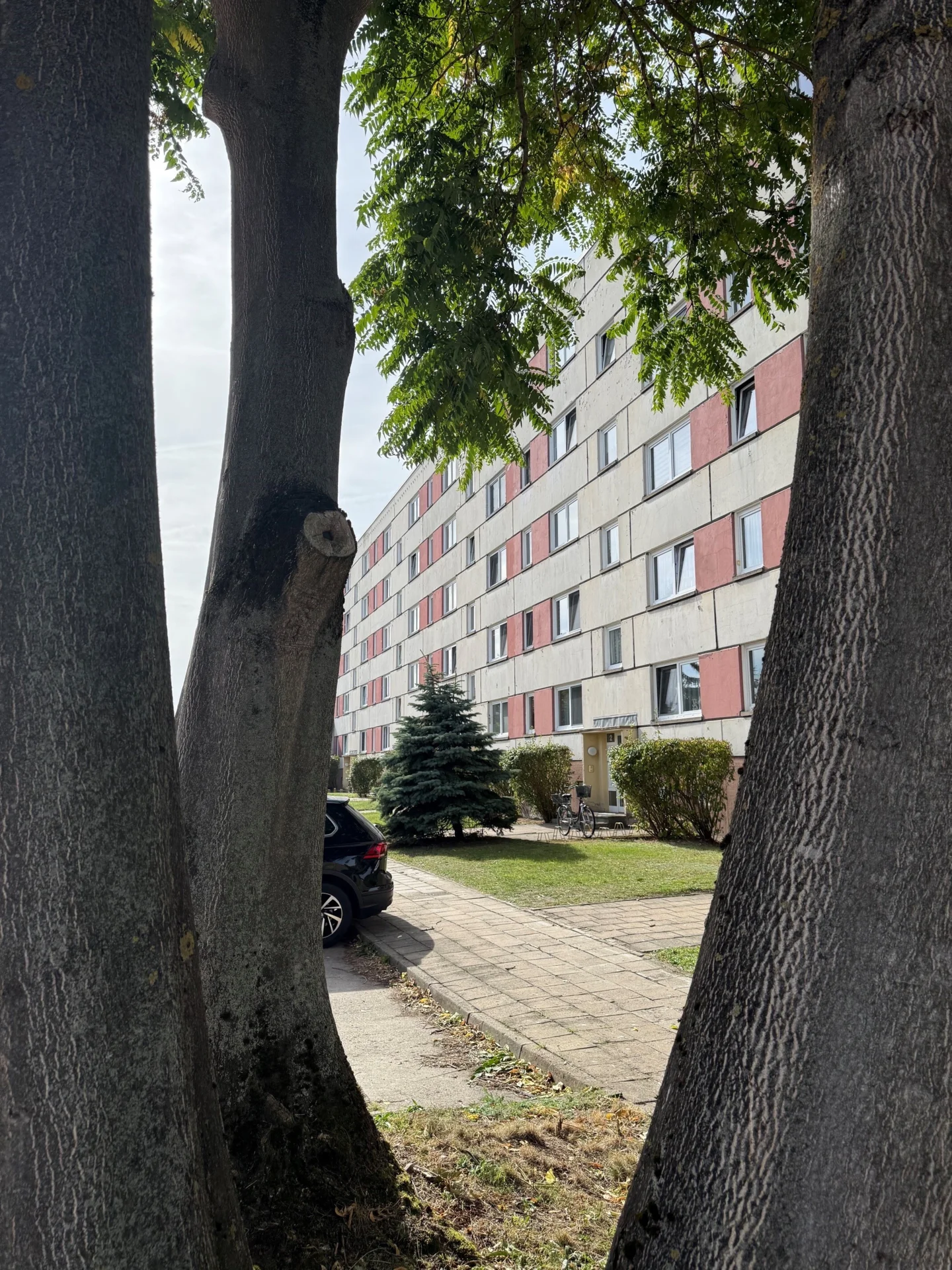 Bild: Plattenbau der WGE an der Ecke Schwimmhalle und Hartwigstraße