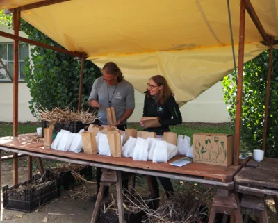 Foto des Albums: Königin Luises Herbstfest 2026