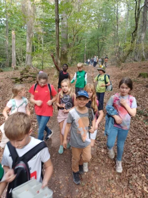 Foto des Albums: Herbst-Wandertag 2026