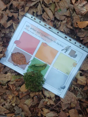 Foto des Albums: Herbst-Wandertag 2026