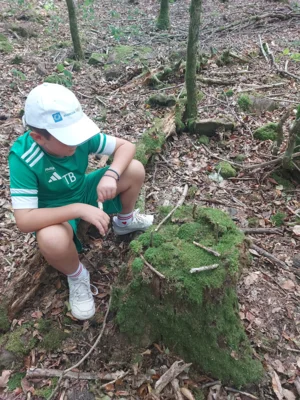 Foto des Albums: Herbst-Wandertag 2026