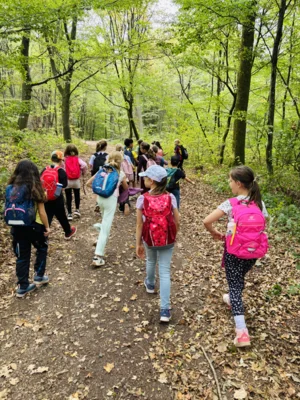Foto des Albums: Herbst-Wandertag 2026