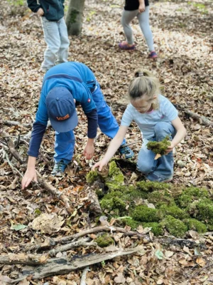 Foto des Albums: Herbst-Wandertag 2026