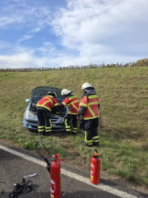 Foto des Albums: Einsatz 095/2026