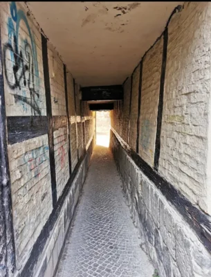 Foto des Albums: Tagesfahrt Wandergruppe