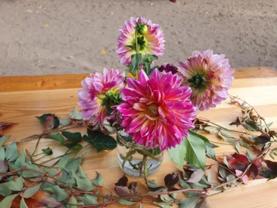 Foto des Albums: Herbstfest