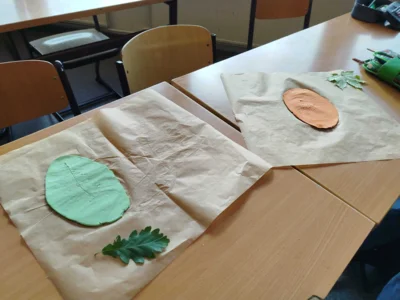 Foto des Albums: Lernwerkstatt Kunst - Herbst