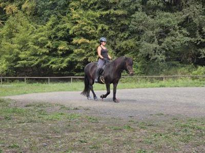 Foto des Albums: Reitkurs mit Sarah Seifert
