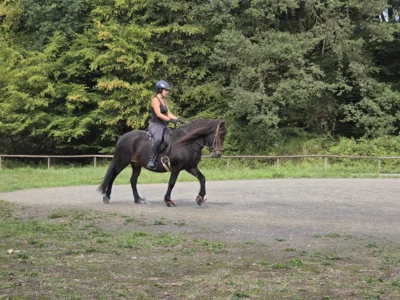 Foto des Albums: Reitkurs mit Sarah Seifert