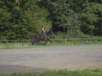 Foto des Albums: Reitkurs mit Sarah Seifert