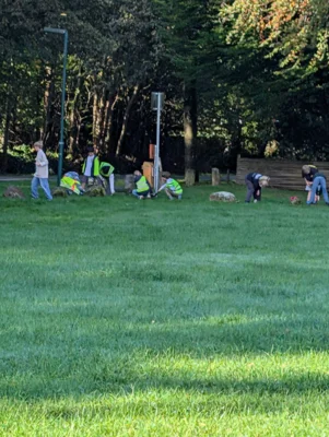Foto des Albums: Pflanzaktion des Bürgervereins 2026