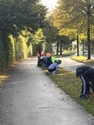 Foto des Albums: Pflanzaktion des Bürgervereins 2026