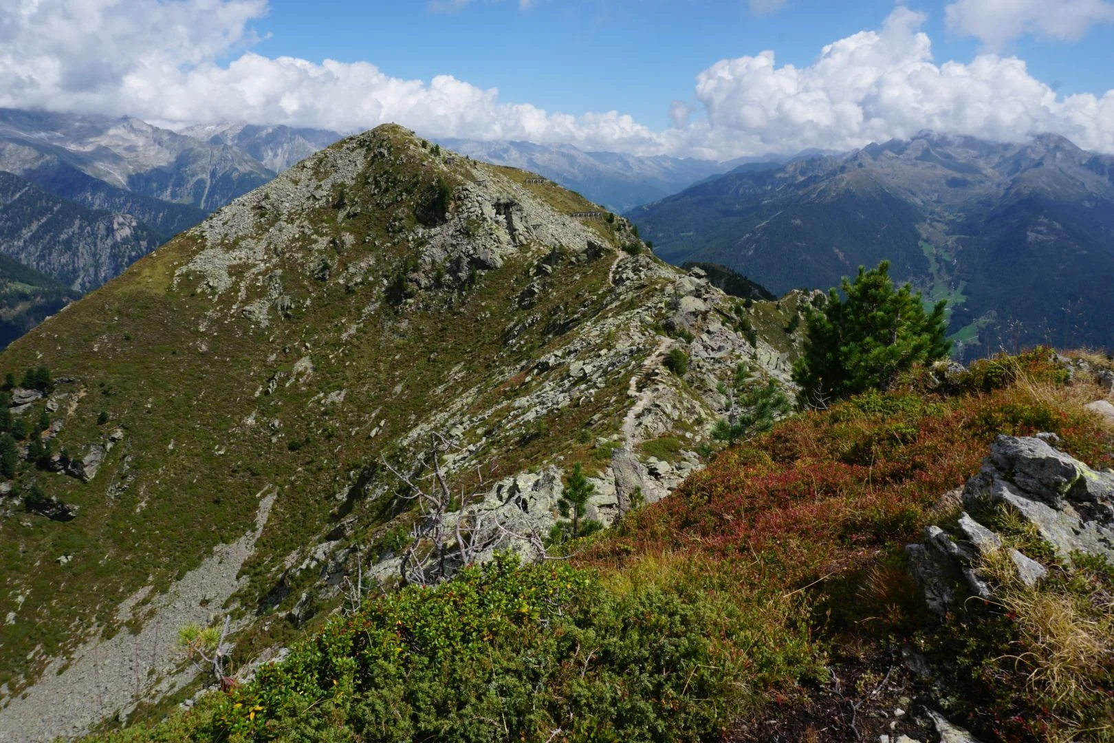 Bild: 15_Panoramaweg zum Kleinen Nock (Foto Doris Petrahn)