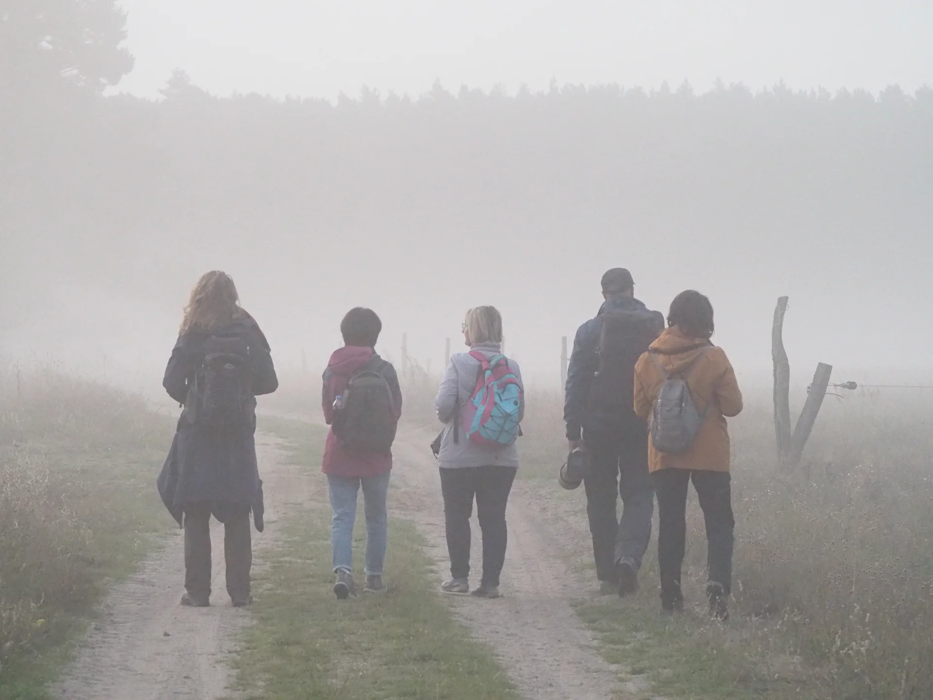 Bild: Im Morgengrauen ©Landschafts-Förderverein Nuthe-Nieplitz-Niederung e.V./Menzel