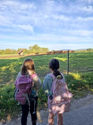 Foto des Albums: Impressionen vom Wandertag 2026