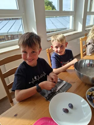 Foto des Albums: Zwetschgen aus dem Schulgarten