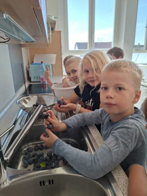 Foto des Albums: Zwetschgen aus dem Schulgarten