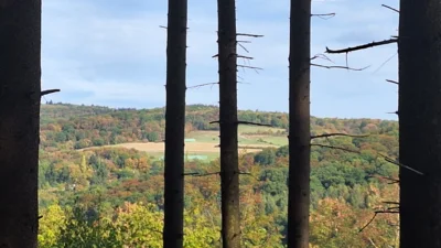 Foto des Albums: Rund um Lorsbach