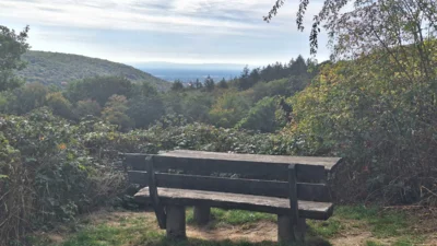 Foto des Albums: Rund um Lorsbach