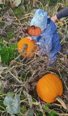 Foto des Albums: Die Raupengruppe unterwegs! 🎃