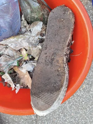 Foto des Albums: CleanUp Hürth in Berrenrath