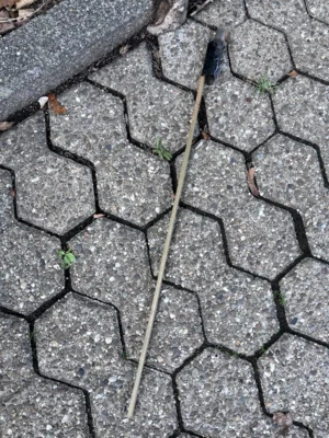 Frohes Neues!  (Bild vergr&ouml;&szlig;ern)