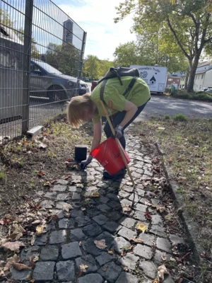 Foto des Albums: CleanUp Hürth in Berrenrath