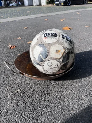 Foto des Albums: CleanUp Hürth in Berrenrath
