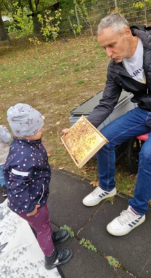 Herr Kunert zeigt, wie die Bienen Honig in den Waben produzieren  (Bild vergr&ouml;&szlig;ern)