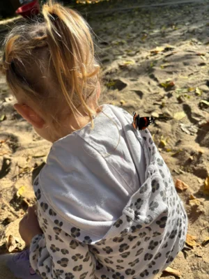 Der Schmetterling landet auf dem R&uuml;cken  (Bild vergr&ouml;&szlig;ern)