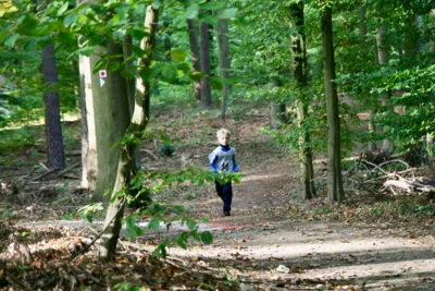 Foto des Albums: 2026-10-04 LM Brandenburg NK