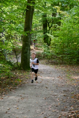 Foto des Albums: 2026-10-04 LM Brandenburg NK