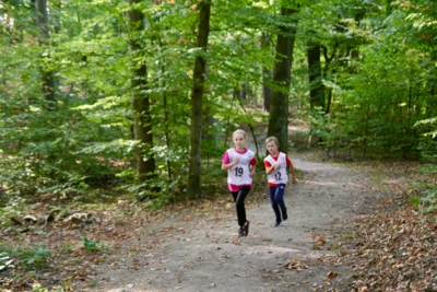 Foto des Albums: 2026-10-04 LM Brandenburg NK