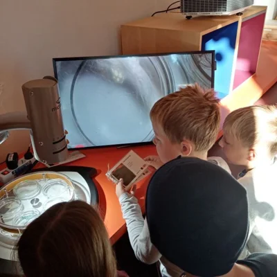 Foto des Albums: Besuch im Nawareum der Klassen 2a und 2b