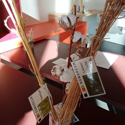 Foto des Albums: Besuch im Nawareum der Klassen 2a und 2b