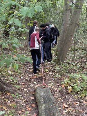 Foto des Albums: Kleine Heide BFSG 26/3