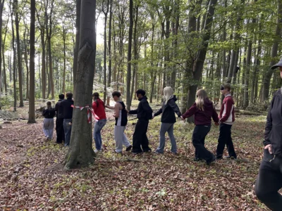 Foto des Albums: Kleine Heide BFSG 26/3