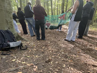 Foto des Albums: Kleine Heide BFSG 26/3
