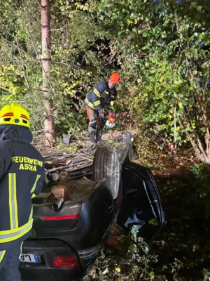 Foto des Albums: Einsatz Patenbitten