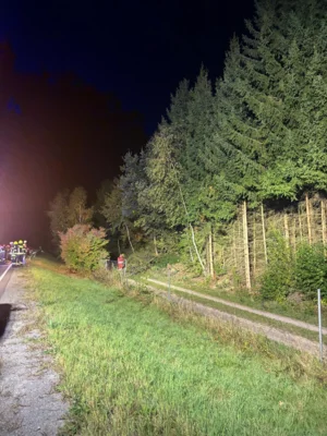 Foto des Albums: Einsatz Patenbitten