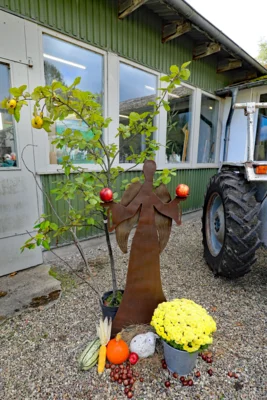 Foto des Albums: Erntedankfest 2026 in der Tischlerei Albrecht, Klappholz