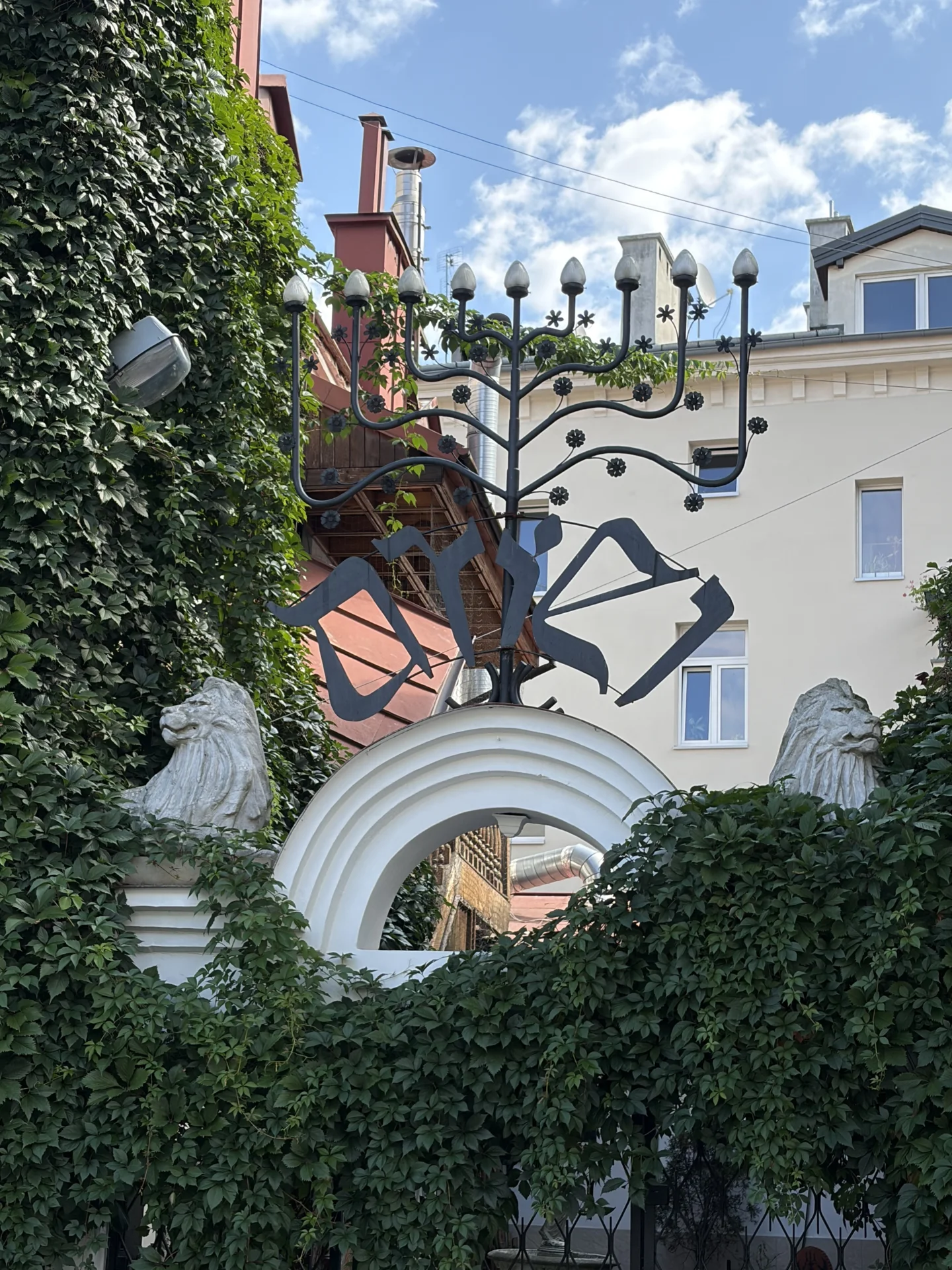 Bild der Galerie