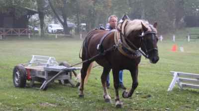 Helen  (Bild vergr&ouml;&szlig;ern)