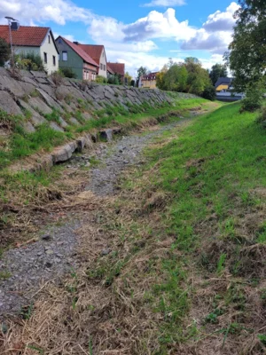 Foto des Albums: Trockenheit in der Thyra – komplexe Zusammenhänge und ihre ersten Opfer