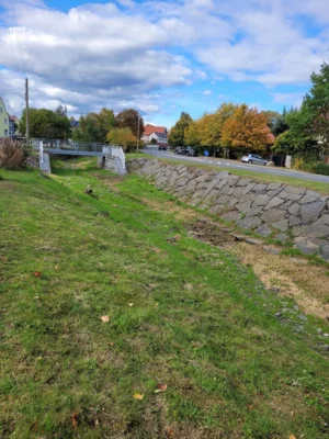 Foto des Albums: Trockenheit in der Thyra – komplexe Zusammenhänge und ihre ersten Opfer