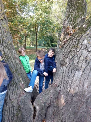 Foto des Albums: Natur erkunden Kl. 4 🌳 🍂
