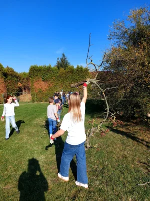Foto des Albums: Natur erkunden Kl. 4 🌳 🍂